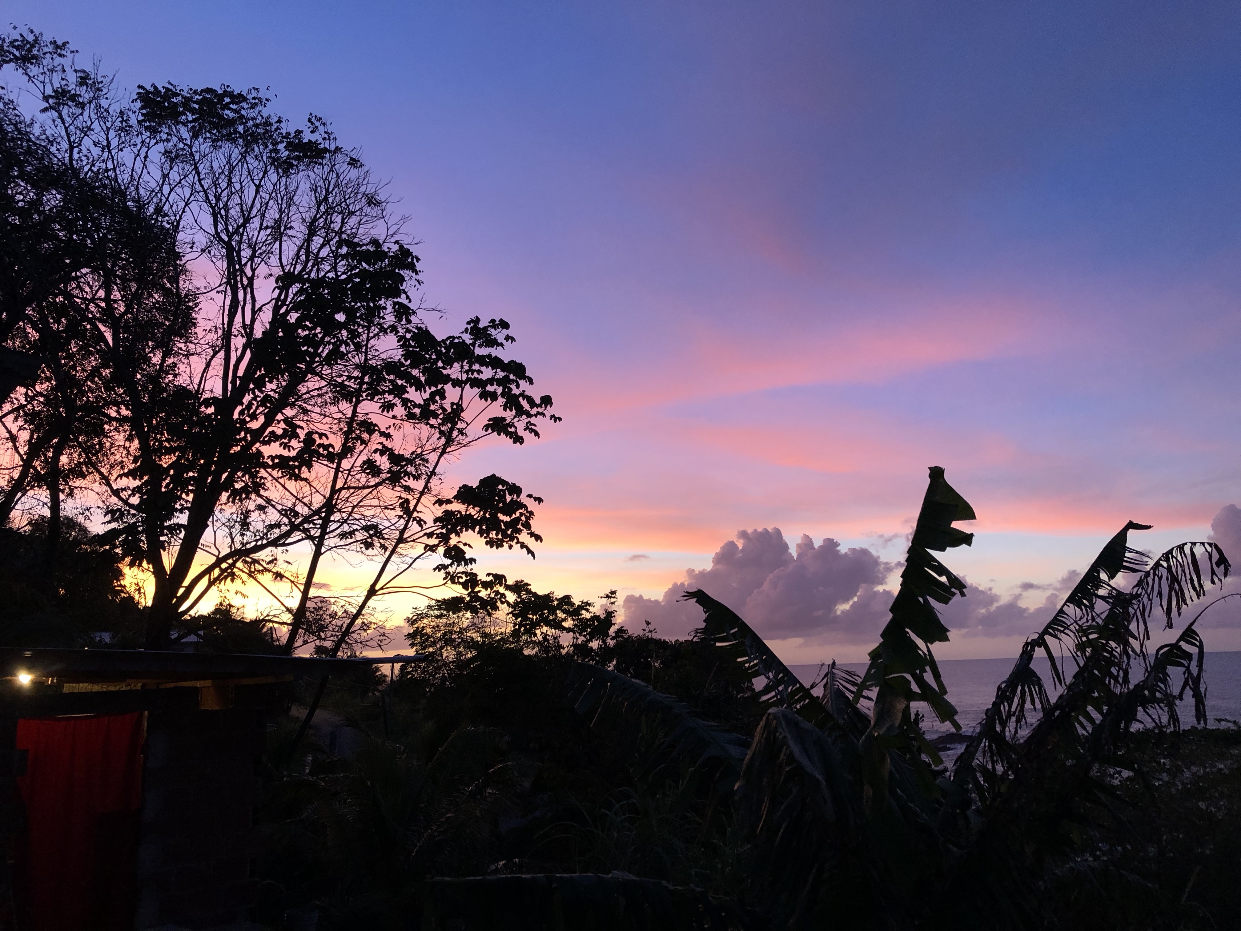 A Tribute to Trinidad: Final Thoughts