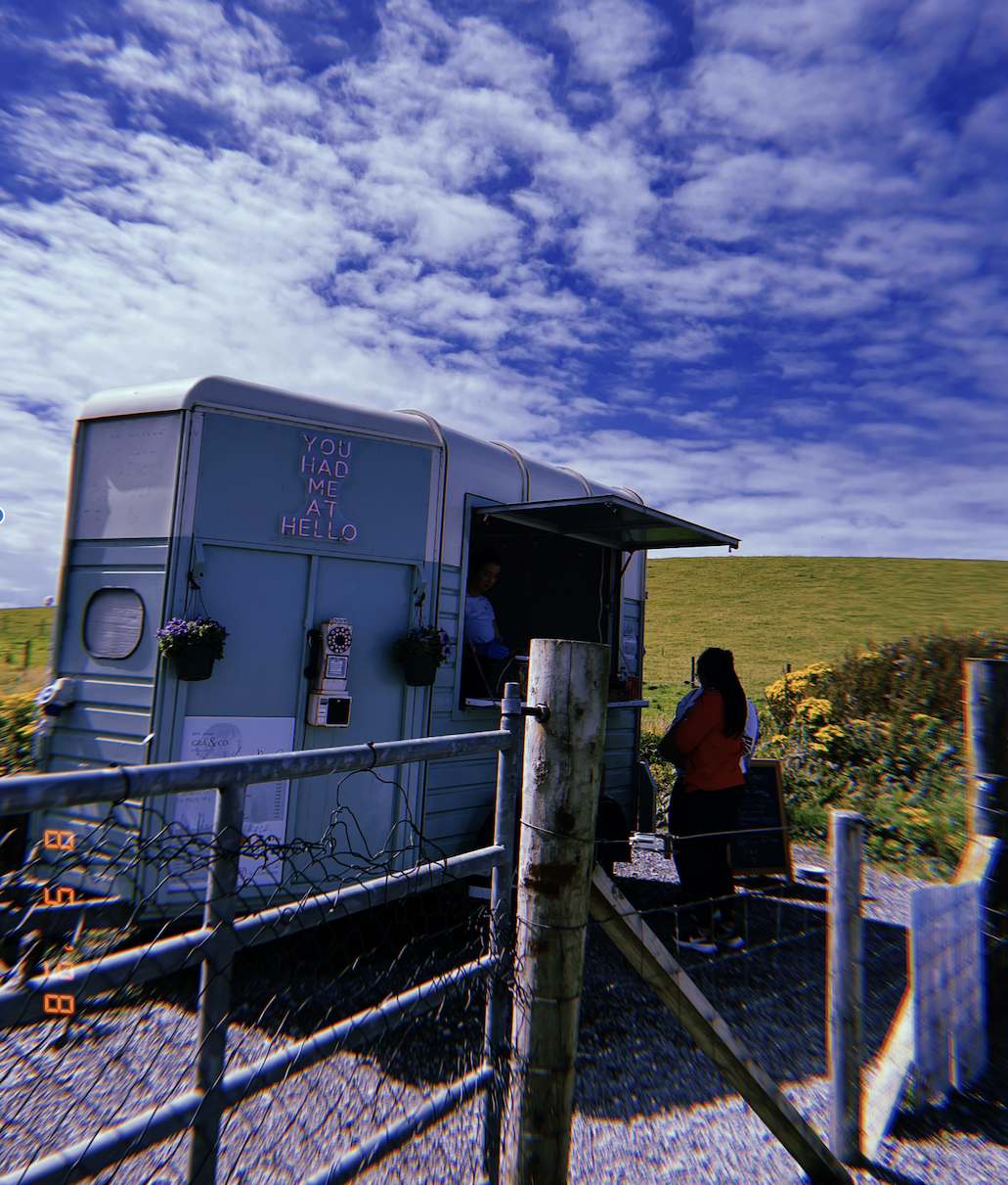 Day Trip to the Cliffs of Moher and The City of Galway