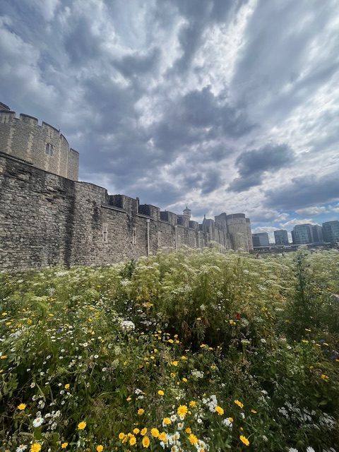 So Long, London!