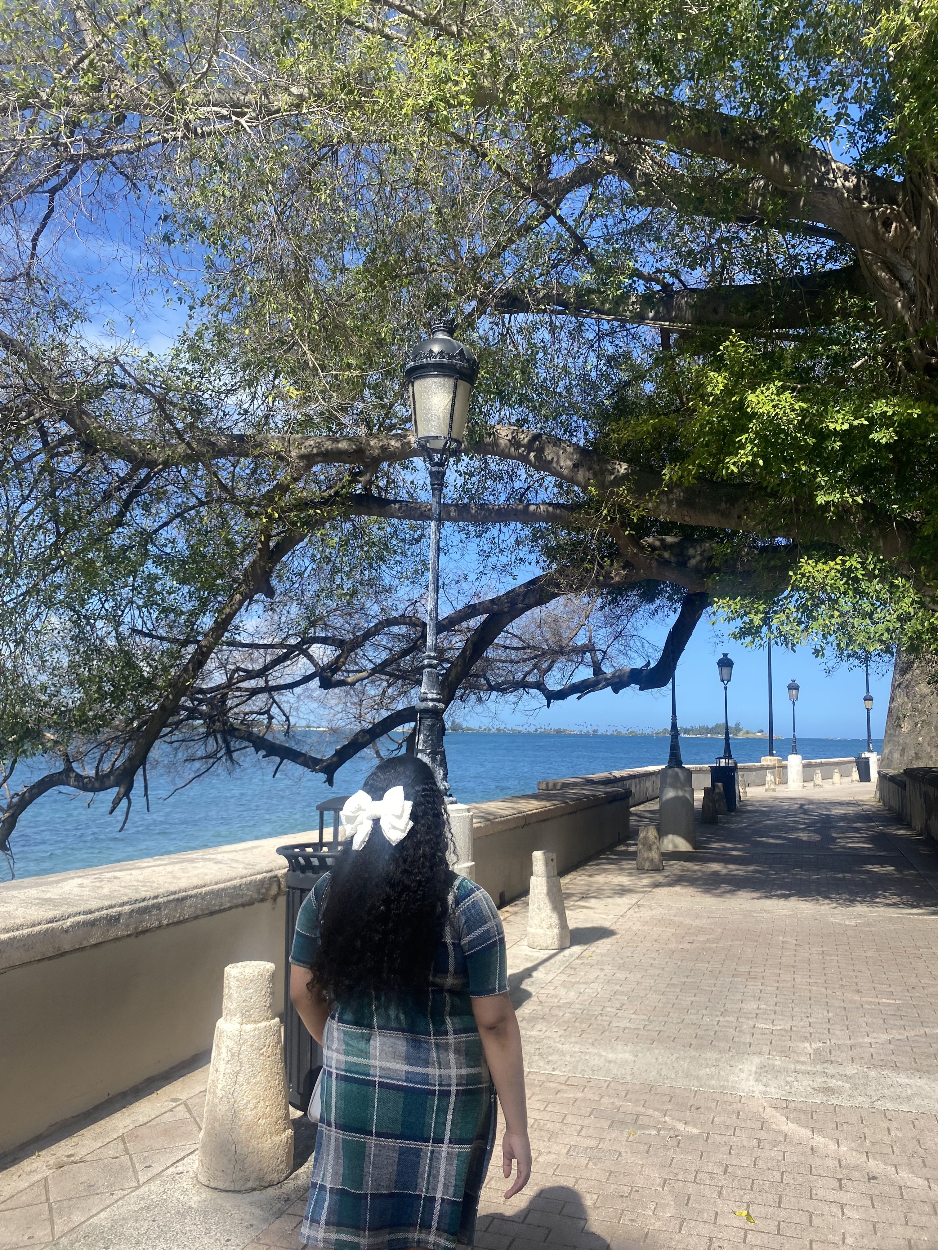 Blog Post #4: Final Reflection