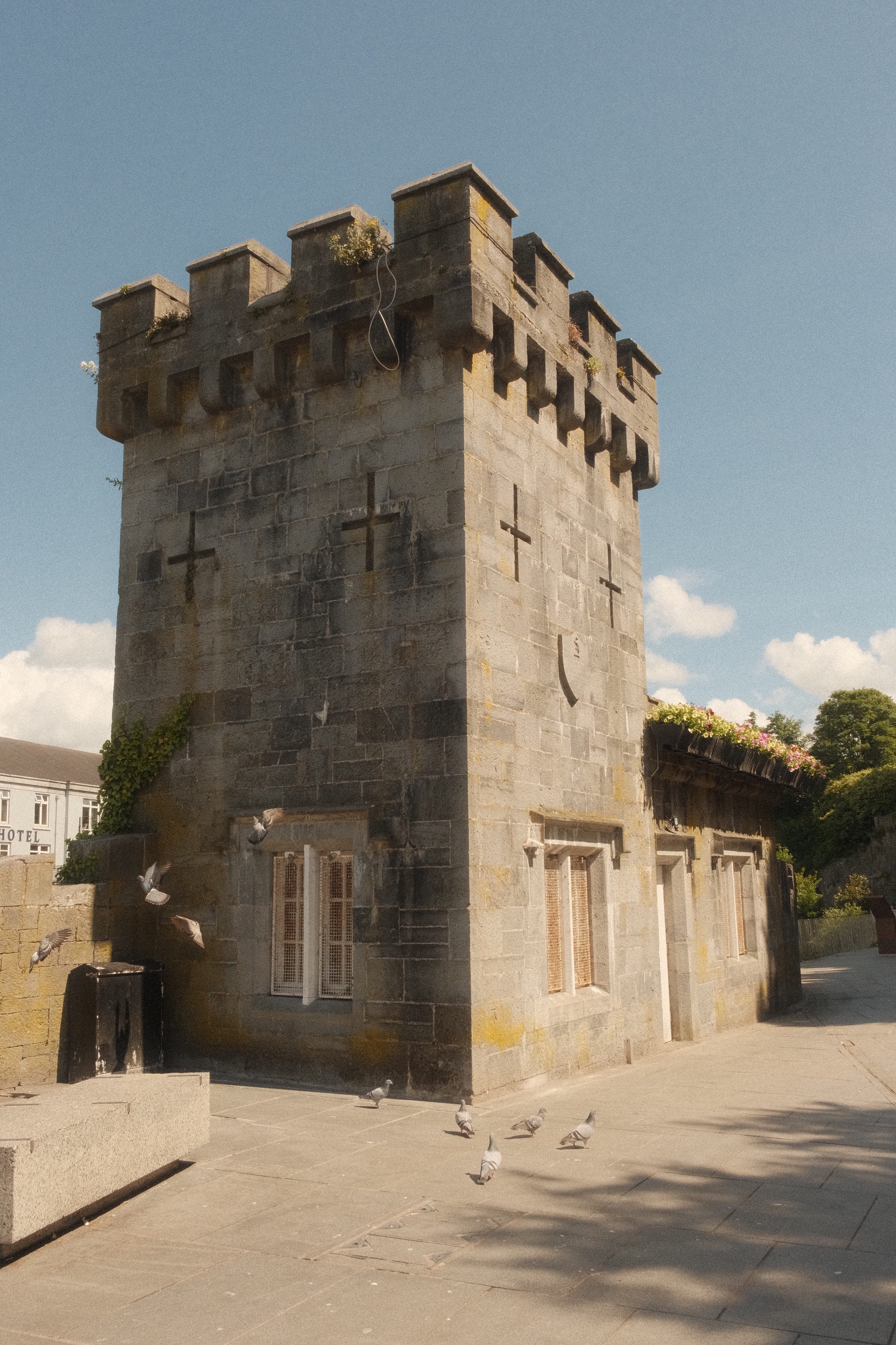 Week 1 – IIP Dublin