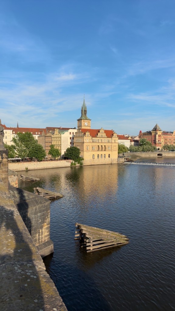 First Week of Work in Prague!