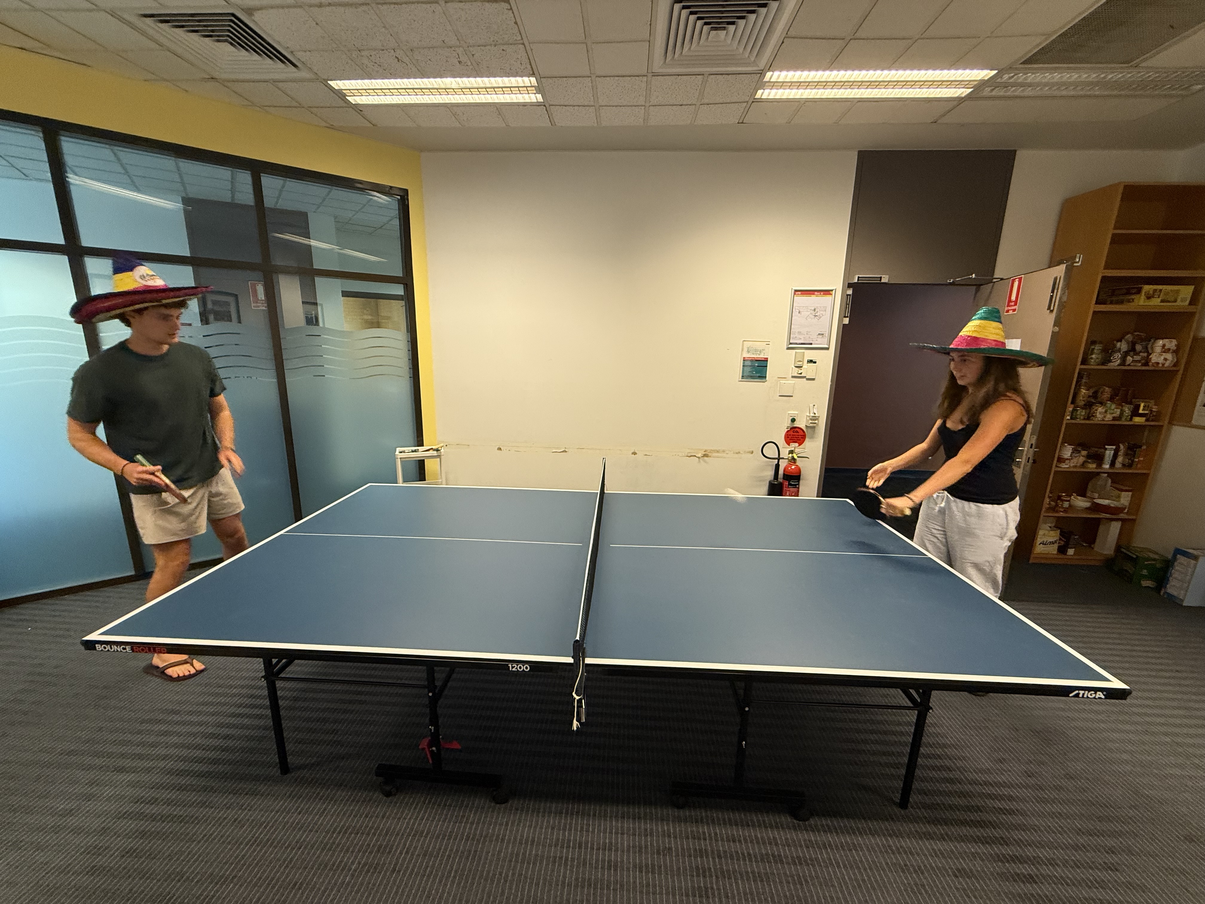 Experiencing Education in Sydney