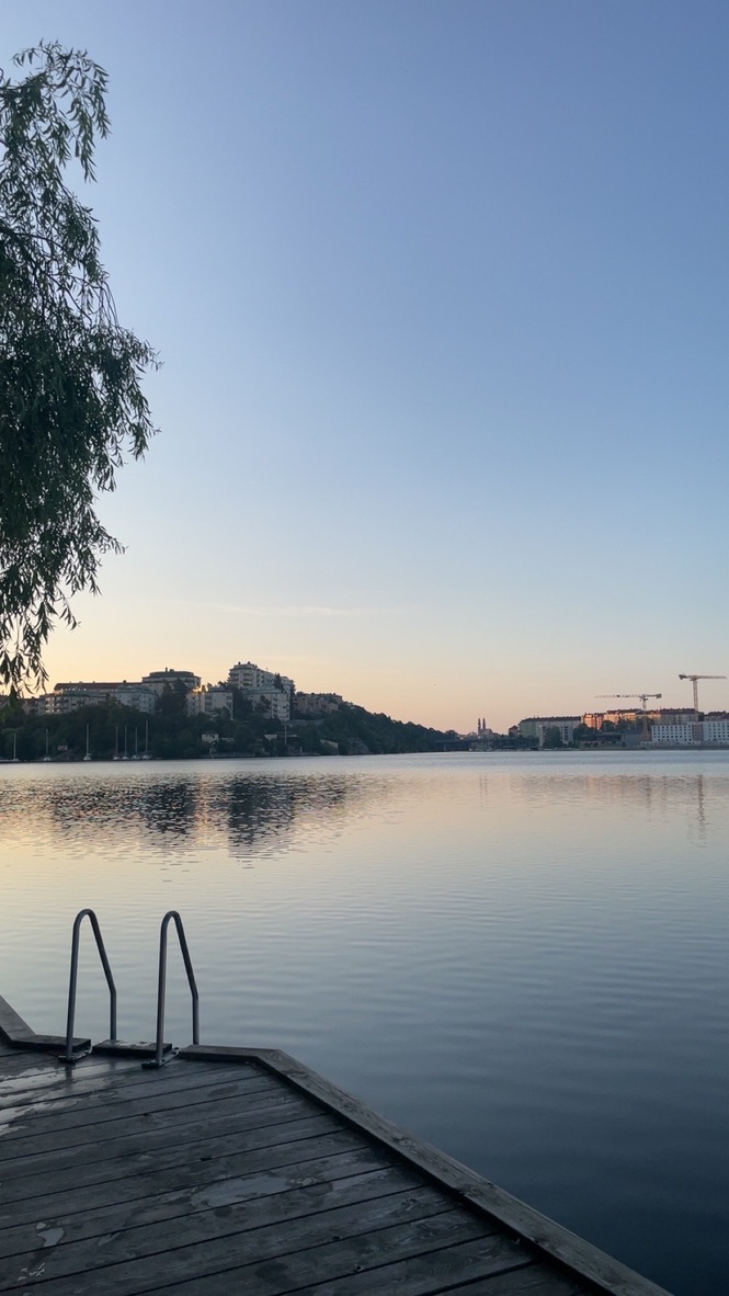 Seat 24C: Reflections on Success, Culture, and Leaving Sweden